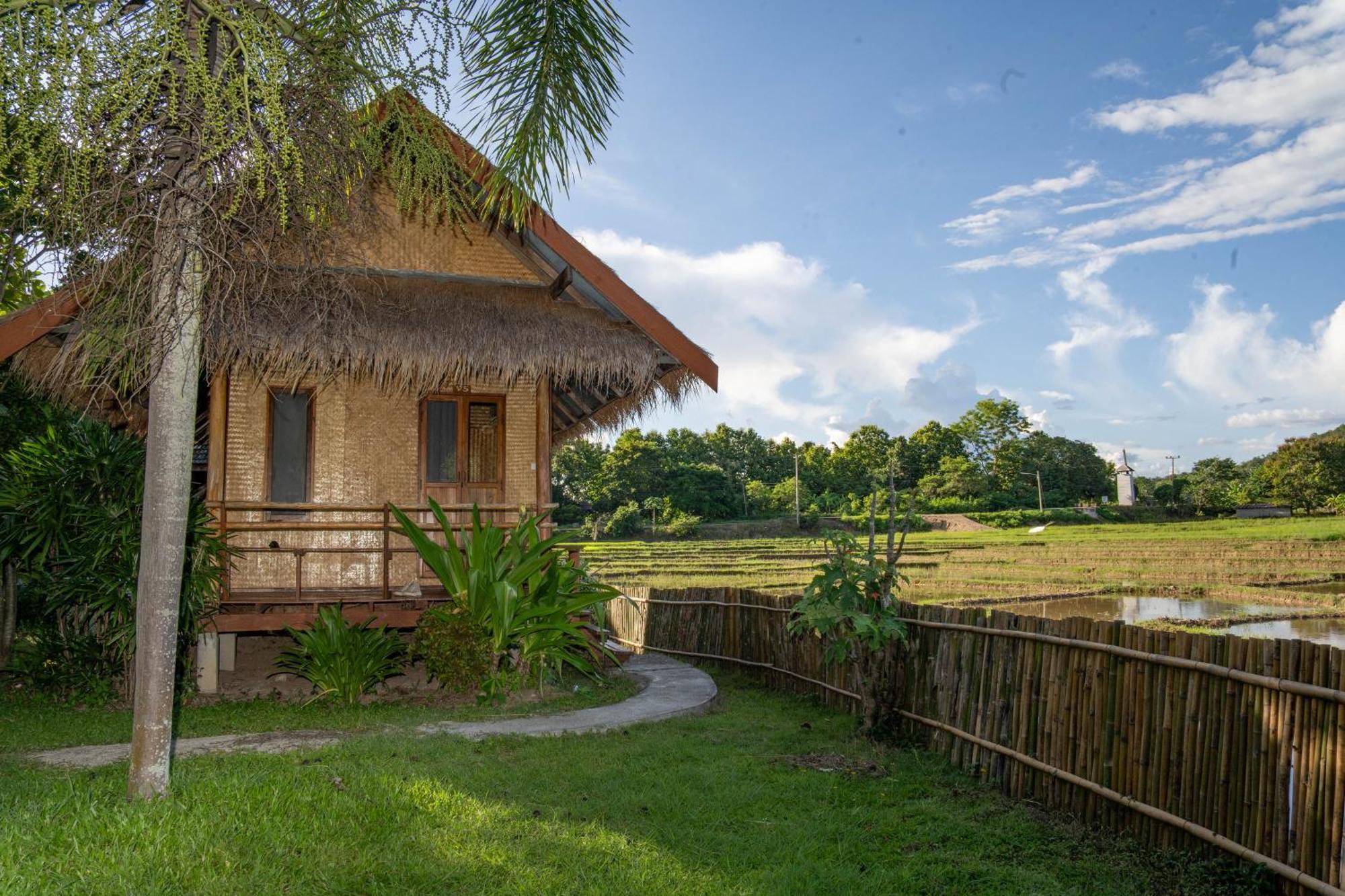 Butterfly Hostel, Pai Exteriér fotografie